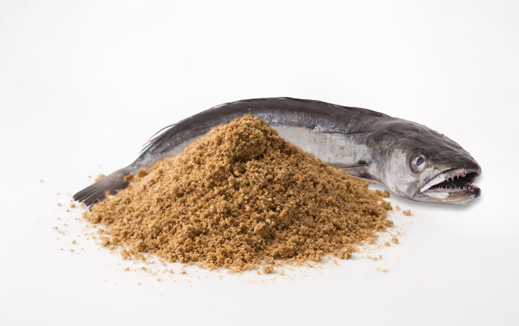 Fish Meal (White Fish)