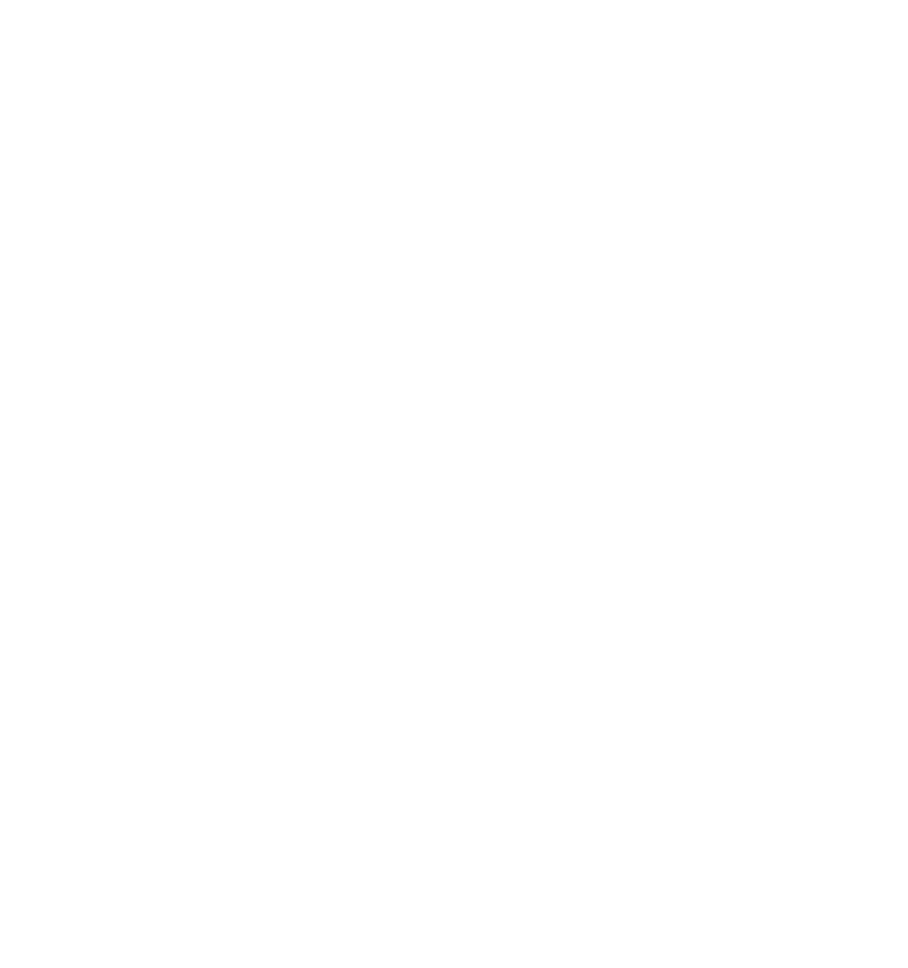 SAF Feed